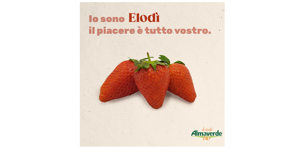 È arrivata la fragola “Elodì” firmata Almaverde Bio